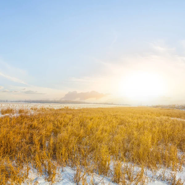 Gün batımında kış çayır — Stok fotoğraf