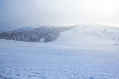 grubunu kış tepeler bir siste manzara