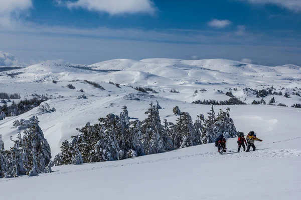 Туристическая группа среди зимних заснеженных равнин — стоковое фото