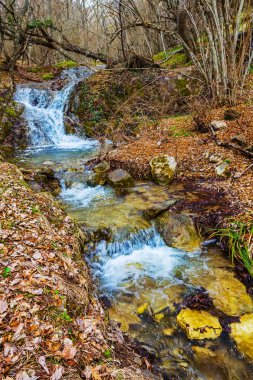 dağ nehir bir kanyonda acele