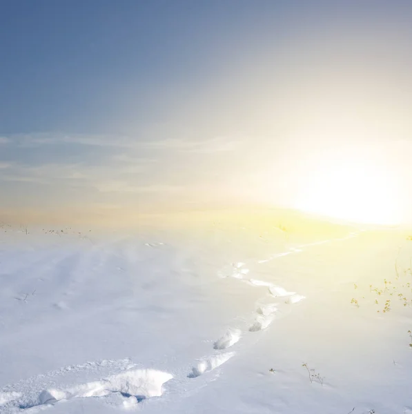 Soir hiver plaine enneigée au coucher du soleil — Photo