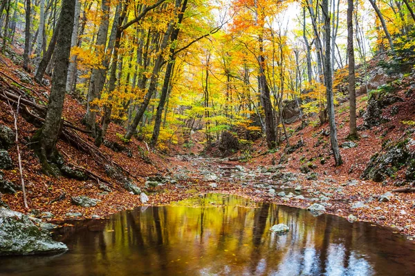 秋の山の峡谷の風景 — ストック写真