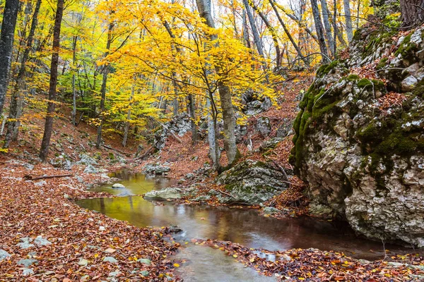 Quiet autumn mountain canyon scene — Stock Photo, Image