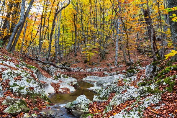秋の山の森のシーン — ストック写真