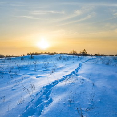bir kış orman glade içinde sessiz sunset