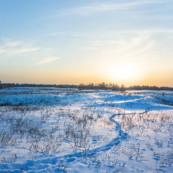 Sessiz kış günbatımı manzarası — Stok fotoğraf