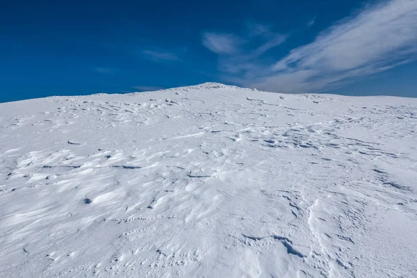Winter snowbound plain scene — Stock Photo, Image
