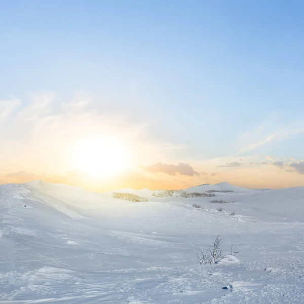 Llanura nevada de invierno al atardecer —  Fotos de Stock