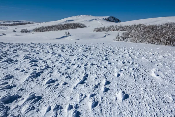 クローズ アップ冬積雪平野 — ストック写真