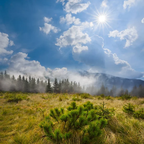 Verão paisagem montanhosa, floresta, nuvens e sol — Fotografia de Stock