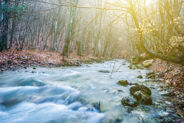 急いで山川のシーン — ストック写真