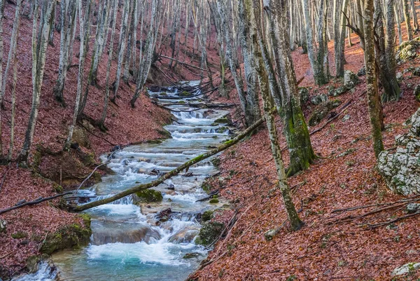 Rio de montanha em um cânion de outono — Fotografia de Stock