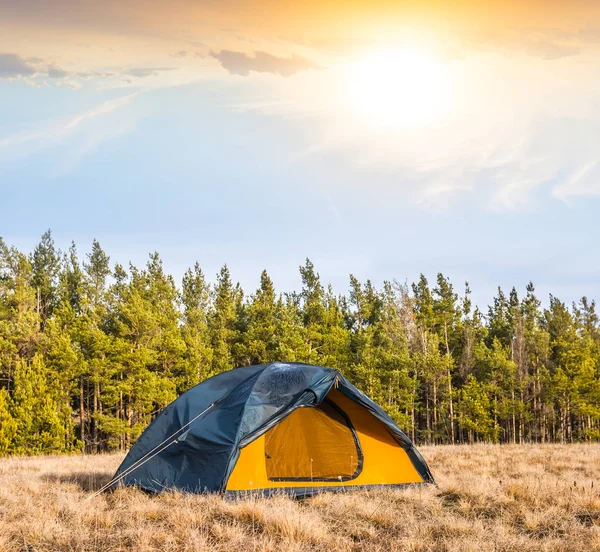 Orange turistiska tält i en skog — Stockfoto