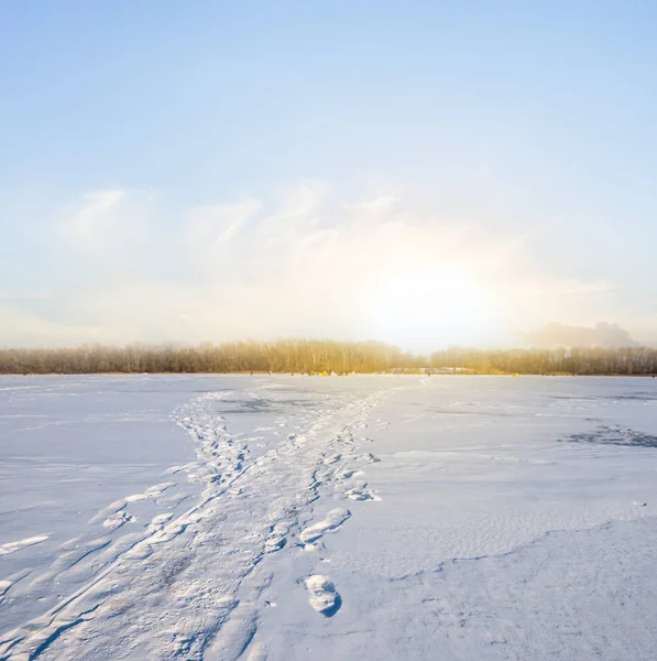 Llanura nevada de invierno al atardecer —  Fotos de Stock