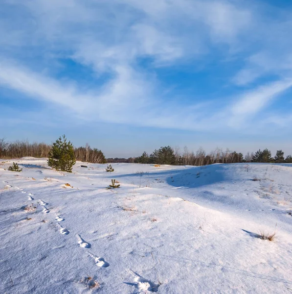 Winter snowbound plain landscape Royalty Free Stock Images