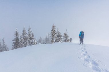 üzerinden bir kış tepeler yürüme yürüyüş yapan grup