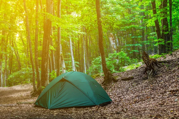 Turistiska camp i en sommar skog — Stockfoto