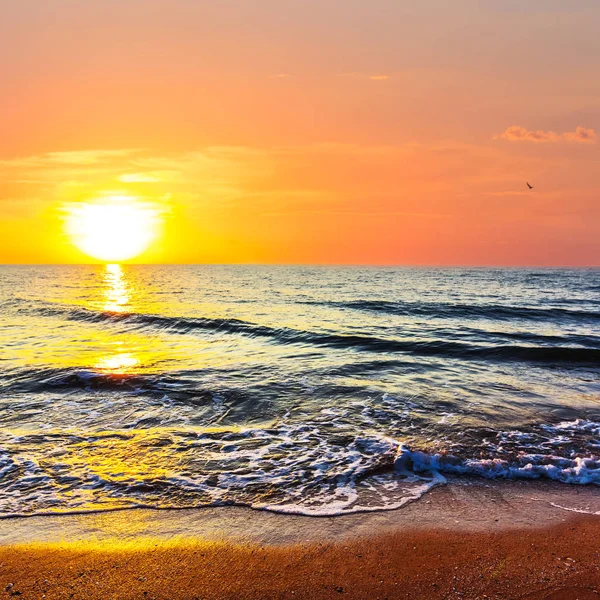 Zomer zee strand bij de zonsondergang — Stockfoto