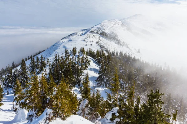 Winterbergszene im Nebel — Stockfoto