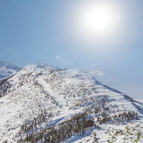 Hiver paysage montagneux enneigé — Photo