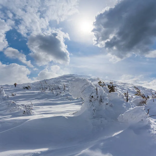 Cima de la montaña en una nieve bajo un sol brillante — Foto de Stock