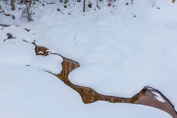 Pequeno fluxo de ribeiro através de uma floresta nevada — Fotografia de Stock