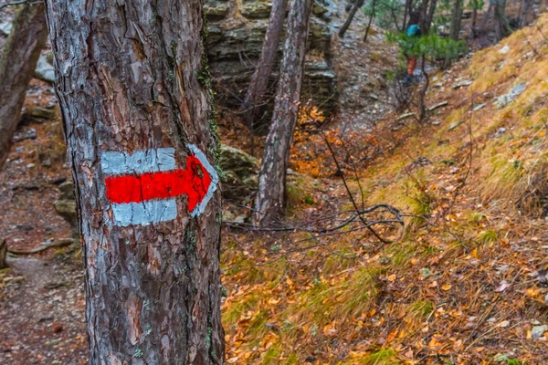 Marque touristique sur un arbre dans une forêt — Photo