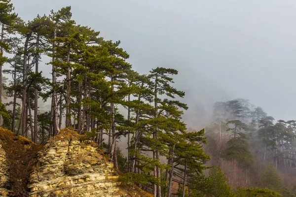 Mount top tiheässä sumussa — kuvapankkivalokuva