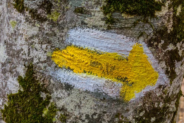 Туристический знак, нарисованный на дереве — стоковое фото