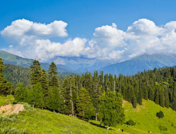 Verde valle de la montaña bajo un cielo nublado — Foto de Stock