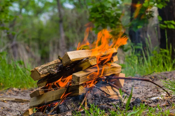 Closeup kampvuur in een bos-glade — Stockfoto