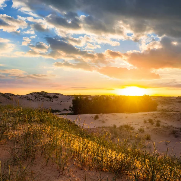 Desierto de arena al atardecer — Foto de Stock