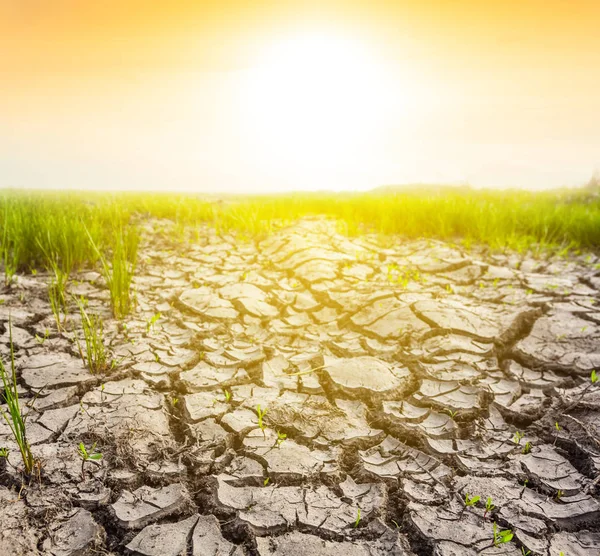 gün batımında kırık toprak Kuru