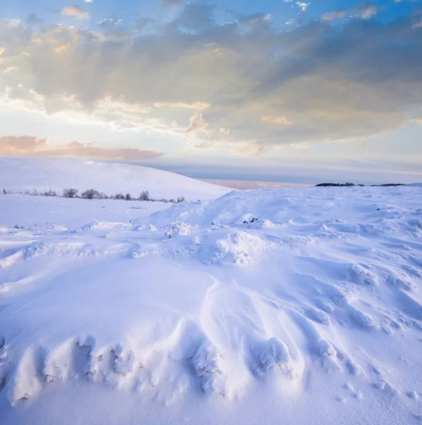 Paesaggio prateria invernale innevato — Foto Stock