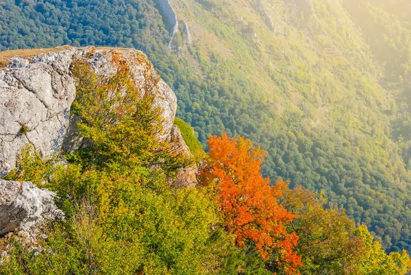 Monte pendiente otoño paisaje — Foto de Stock