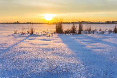 gün batımında grubunu çayır