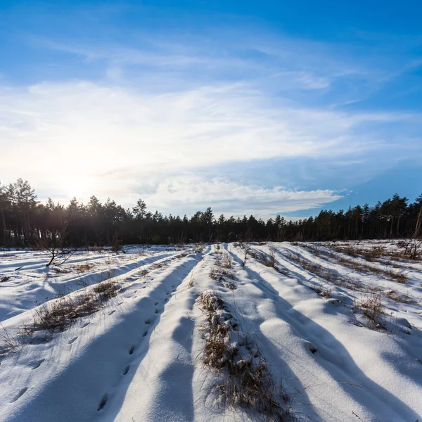 Zimowe śniegiem zwykły krajobraz — Zdjęcie stockowe