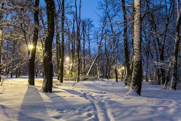 Winter snowbound-nachtbeeld park — Stockfoto