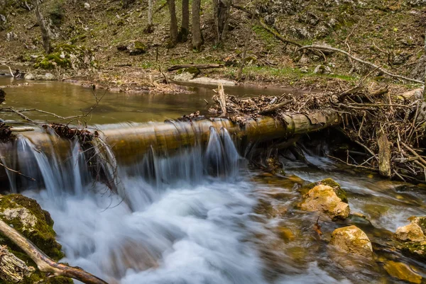 Piccolo canyon fiume scena — Foto Stock