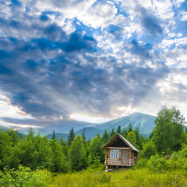 緑豊かな山の谷に小さな木の家 — ストック写真