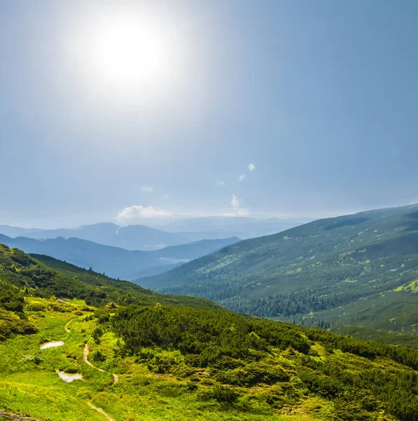 Verde montaña valle soleado escena — Foto de Stock