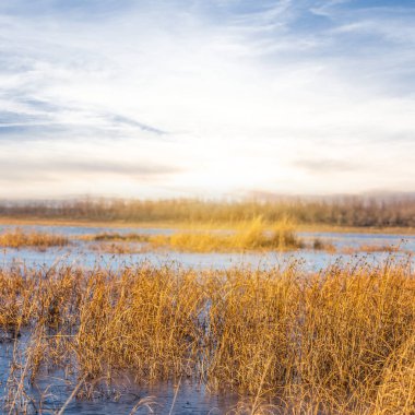 küçük bataklıkta günbatımı manzara