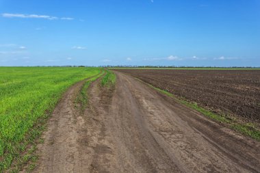 güzel bahar kırsal alan manzara