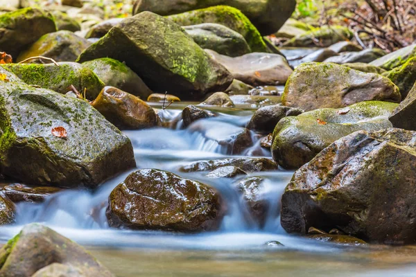 Piccolo ruscello di montagna in una pietra — Foto Stock