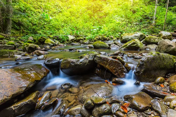 Malé horské řeky letní scéna — Stock fotografie
