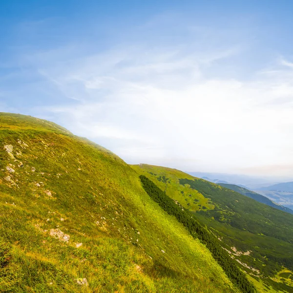 Зеленый склон холма в лучах солнца — стоковое фото