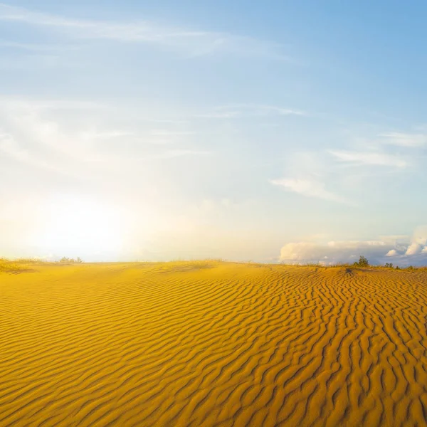 Pôr do sol sobre um deserto arenoso — Fotografia de Stock