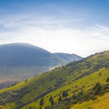 Yeşil tepenin yamacında ve mavi bulutlu gökyüzü