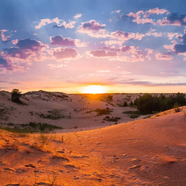 Červená písečná poušť na západ slunce — Stock fotografie