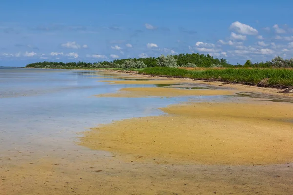 Небольшой летний мелководный залив — стоковое фото